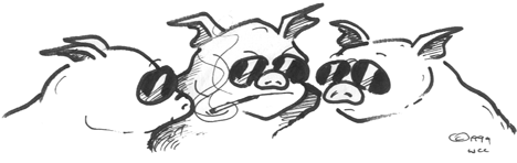 3 Little Pigs